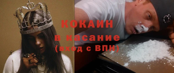стаф Каменка