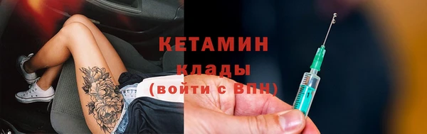 стаф Каменка