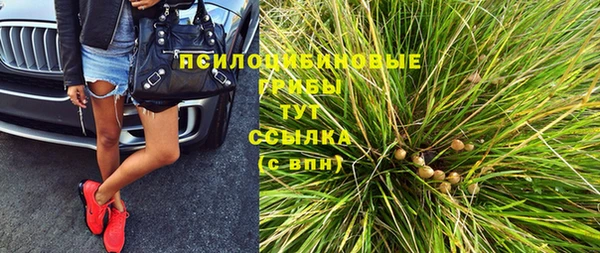 стаф Каменка
