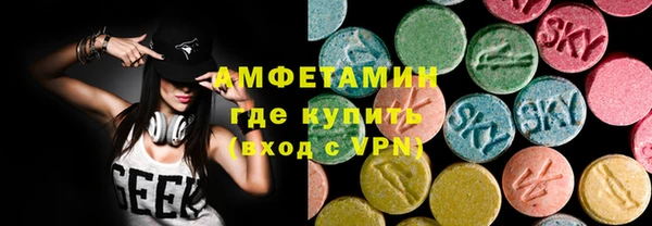 стаф Каменка