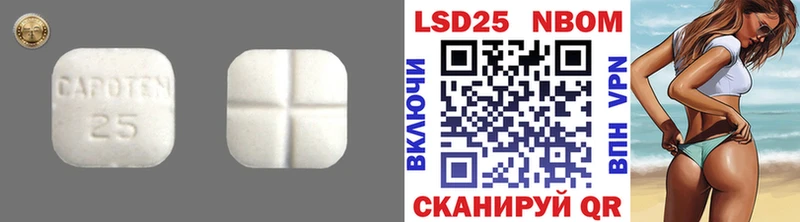 ссылка на мегу зеркало Славгород ЛСД экстази кислота